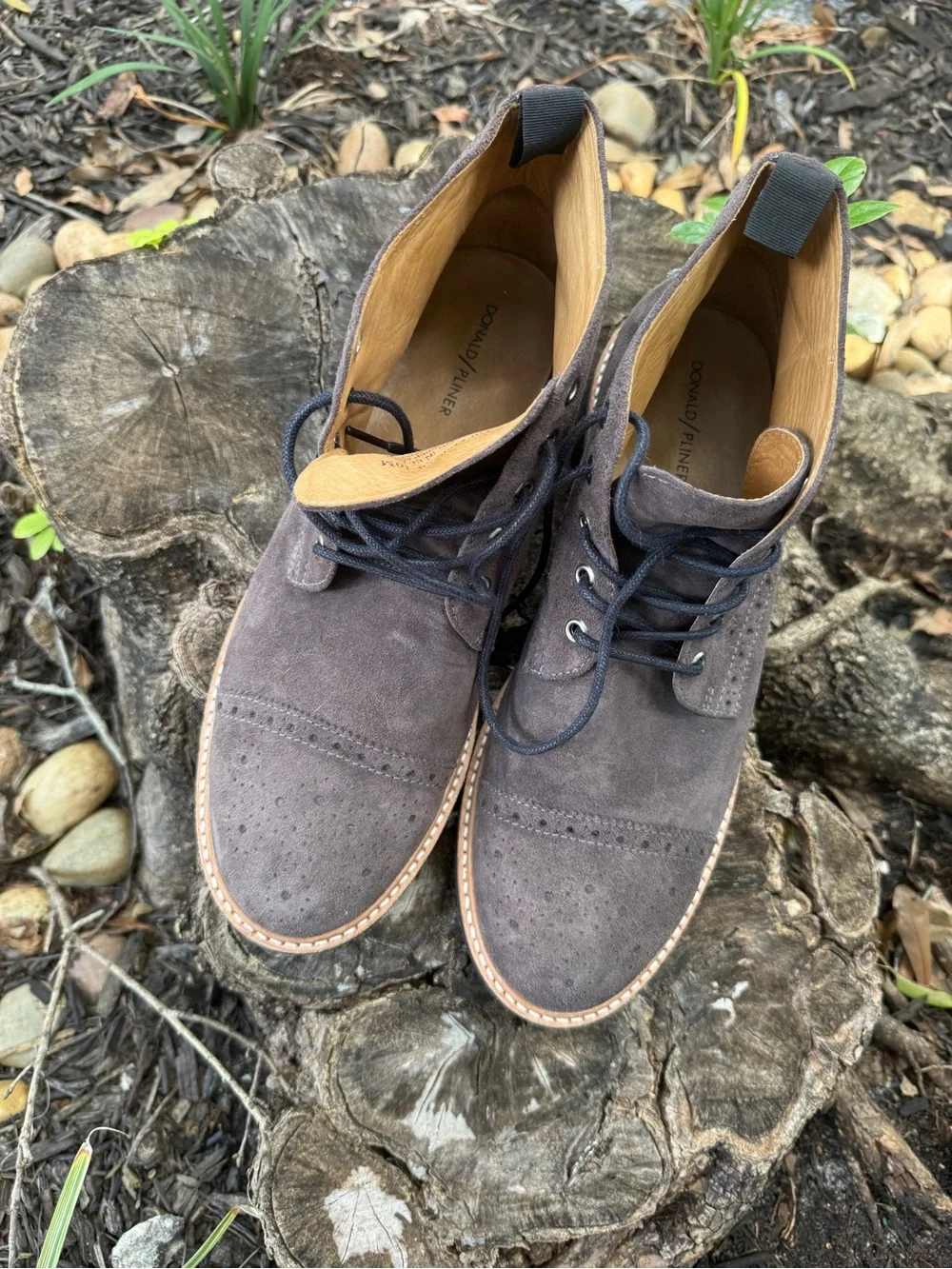 N/A classic wingtip